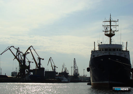 Минсельхоз предложил порядок аренды портовой инфраструктуры