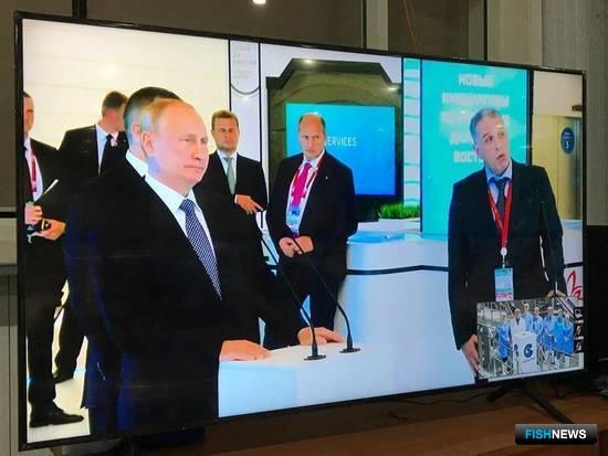 Япония отреагировала на участие Владимира Путина в открытии завода на Шикотане