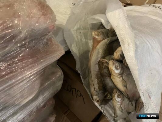 В Нижнем Поволжье огласят приговор за нелегальную рыбу
