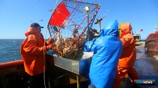 РСХБ утроит кредитный портфель в рыбной отрасли