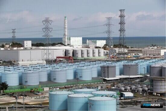 СахНИРО оценил возможные последствия сбросов с «Фукусимы»