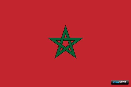 Продление «рыбного» соглашения Марокко и ЕС еще под вопросом 
