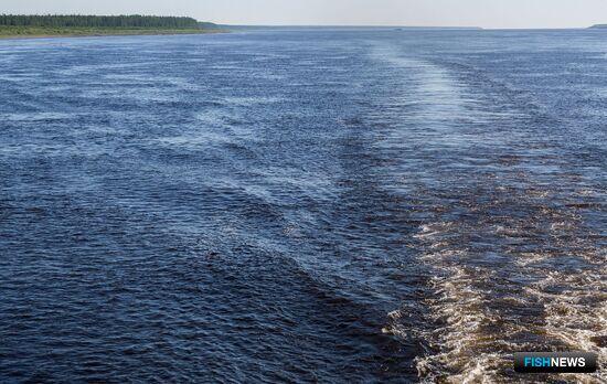 Красноярский край хочет включить в промысел больше рек