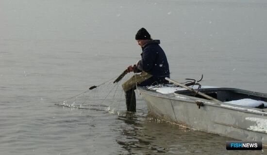 Жителям прибрежных поселков Поморья разрешили рыбачить сетями