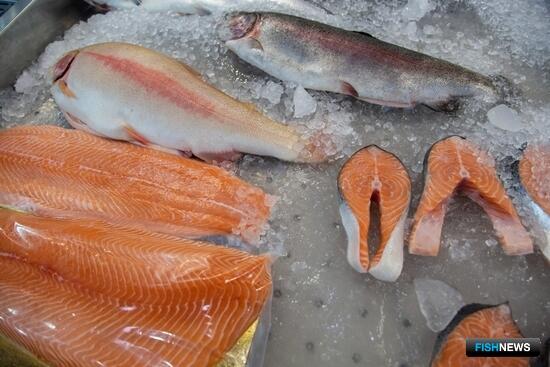 Тему «рыбных бирж» прорабатывают на госуровне