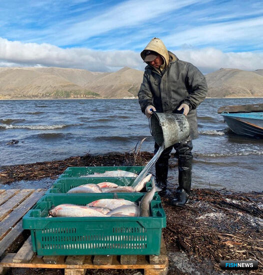 Правила рыболовства для Восточно-Сибирского бассейна скорректировали