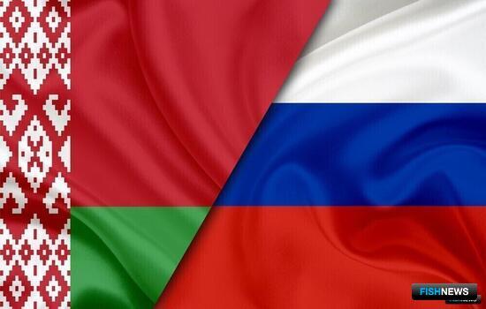 Россия и Белоруссия сотрудничают в добыче минтая