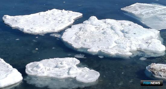 Карельские специалисты учатся предсказывать «поведение» льда