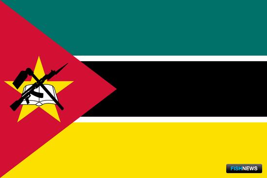 Рыбаков Мозамбика поддержат спецпроектом